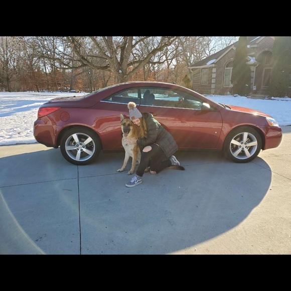 Meet your Posher, Sam - Picture 3 of 3